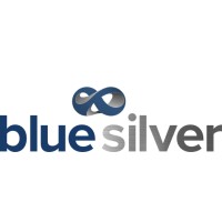 Blue Silver Consulting Logo