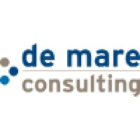 de mare consulting Logo