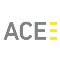 ACE - We digitize processes Logo