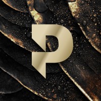 Perfect.live Logo