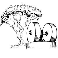 Queen Creek Olive Mill Logo