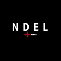 NDEL LIMITED Logo