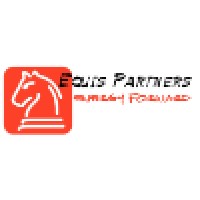 Equis Partners LLC Logo
