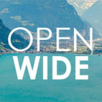 OPENWIDE Logo