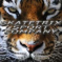 Skatetrix Sport Company Logo