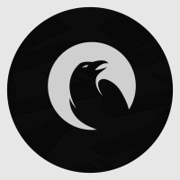 RVNS Interactive Logo