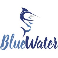 BlueWater Consulting Logo