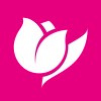 Il Tulipano Srl Logo