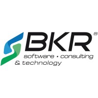 BKR Software Consulting & Technology AG Logo