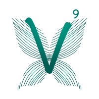 V-Nano Logo