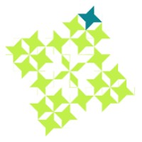 Somatrix Limited Logo