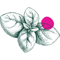 Focaccia club Logo