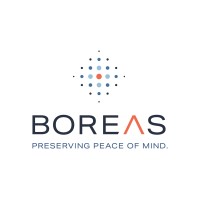 Boreas Monitoring Solutions Logo