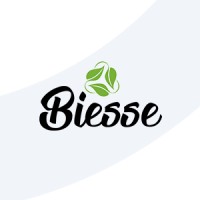BIESSE PACKAGING SRL Logo