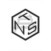 Nelson Track Solutions Logo