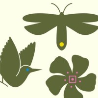 The Kent Collection Logo