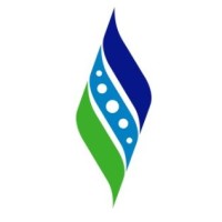 Spectrum Energy Services LLC Logo