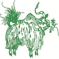 Tushita Travels Pvt Ltd Logo