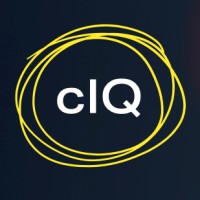 cIQ - Cyber Risk Quantification Logo