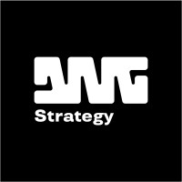 DNG Strategy Logo