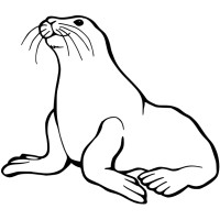 Micro-entreprise Damien Clauzel 🦭 Logo