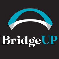Bridge UP Interim Management Logo