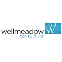 Wellmeadow Limited Logo