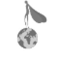Dragon knights Inc Logo