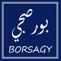 BORSAGY / بورصجي Logo