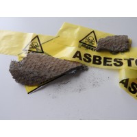 Asbestpreventie Logo