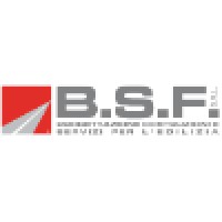 B.S.F. S.r.l. Logo