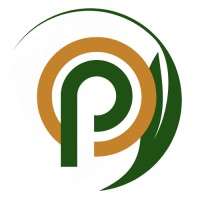 Patagon Projections Logo