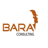 BARA CONSULTING LTD Logo