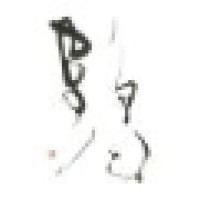 Tsuru Capital LLC Logo