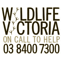 Wildlife Victoria Logo