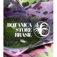 Botanica Store Brasil Logo