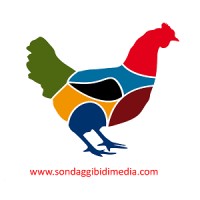 BiDiMedia Logo