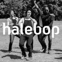 Halebop Logo
