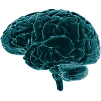 Accelerated Learning Logo