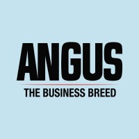 American Angus Association Logo