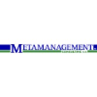 Metamanagement Consulting, SC Logo