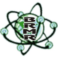 BUREAU OF RAJASTHAN MARKET RESEARCH Logo