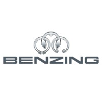 Hugo Benzing GmbH & Co. KG Logo