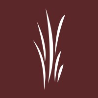 Luana Savings Bank Logo