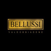 BELLUSSI SPUMANTI S.R.L Logo