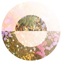 Orluna Logo