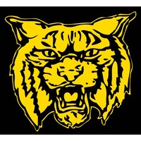 Dillon High School Logo