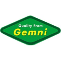 Gemni International Logo