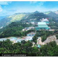 ATLAS CONSOLIDATED MINING AND DEVELOPMENT CORPORATION Logo