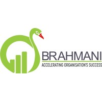 Brahmani Business Management Pvt. Ltd. Logo